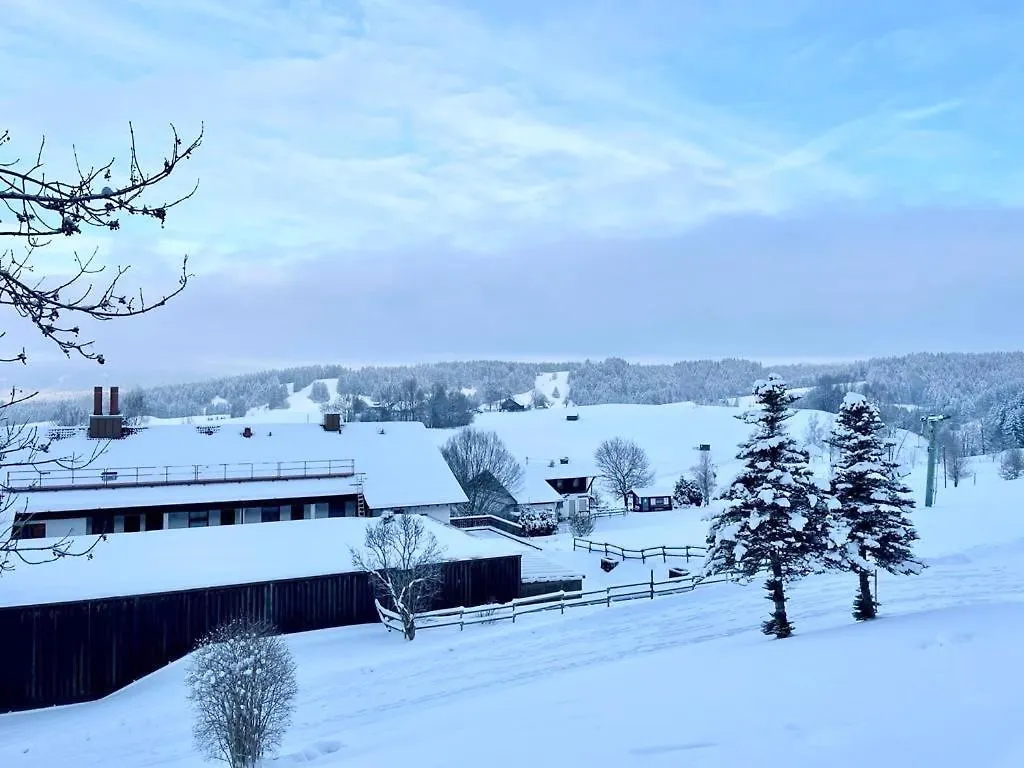 Apartment Fewo Alpenwiese Mit Hallenbad&Sauna Missen-Wilhams Germany