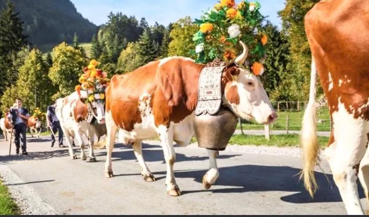Fewo Alpenwiese Mit Hallenbad&Sauna Missen-Wilhams